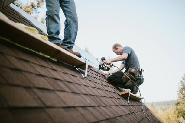 Best Residential Roof Replacement  in Brownsville, PA